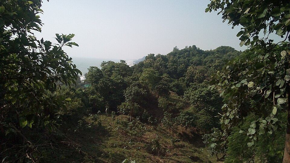 Himchari