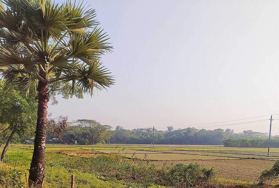 Hatiya Island